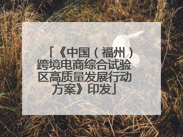 《中国（福州）跨境电商综合试验区高质量发展行动方案》印发