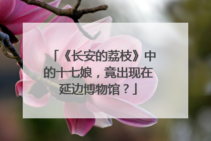 《长安的荔枝》中的十七娘，竟出现在延边博物馆？