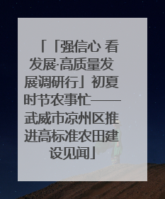 「强信心 看发展·高质量发展调研行」初夏时节农事忙——武威市凉州区推进高标准农田建设见闻