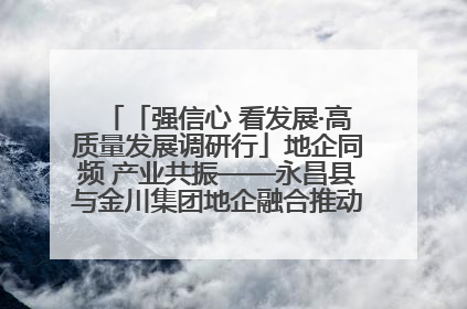 「强信心 看发展·高质量发展调研行」地企同频 产业共振——永昌县与金川集团地企融合推动重大项目建设