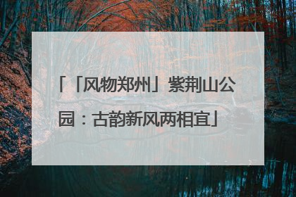 「风物郑州」紫荆山公园：古韵新风两相宜