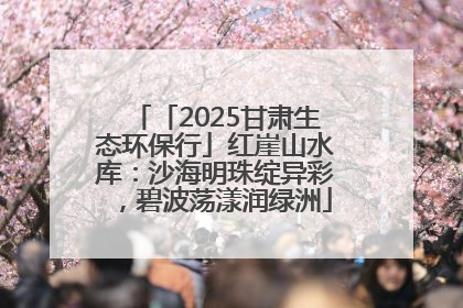 「2025甘肃生态环保行」红崖山水库：沙海明珠绽异彩，碧波荡漾润绿洲