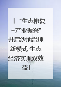 “生态修复+产业振兴”开启沙地治理新模式 生态经济实现双效益