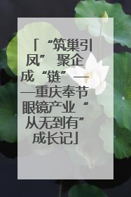 “筑巢引凤” 聚企成“链”——重庆奉节眼镜产业“从无到有”成长记