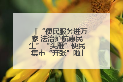 “便民服务进万家 法治护航惠民生”“头雁”便民集市“开张”啦