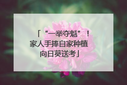 “一举夺魁”！家人手捧自家种植向日葵送考