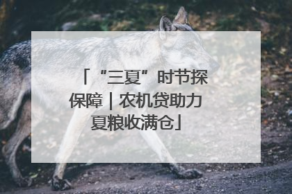 “三夏”时节探保障｜农机贷助力夏粮收满仓