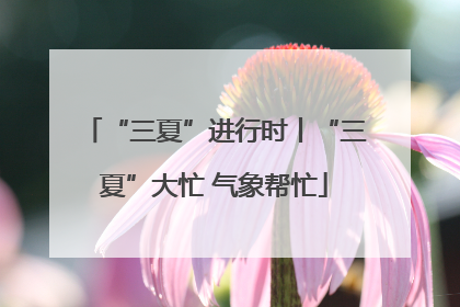 “三夏”进行时丨“三夏”大忙 气象帮忙