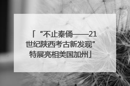“不止秦俑——21世纪陕西考古新发现”特展亮相美国加州