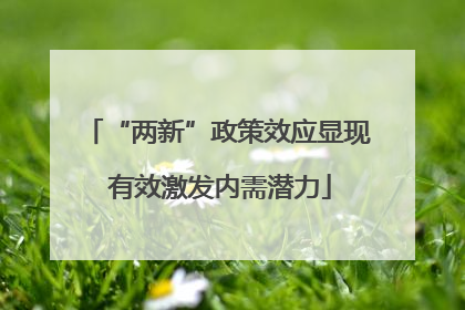 “两新”政策效应显现 有效激发内需潜力