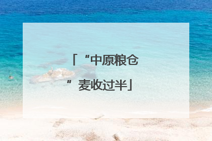 “中原粮仓”麦收过半