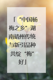 “中国杨梅之乡”湖南靖州传统与新引品种共绽“梅”好