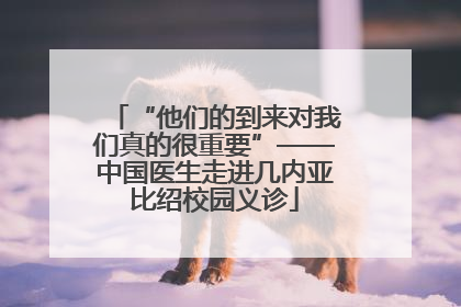 “他们的到来对我们真的很重要”——中国医生走进几内亚比绍校园义诊