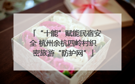 “十能”赋能民宿安全 杭州余杭四岭村织密旅游“防护网”