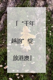 “千年越韵”绽放港澳