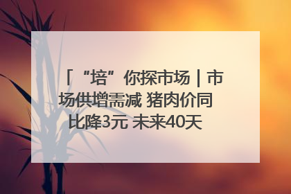 “培”你探市场｜市场供增需减 猪肉价同比降3元 未来40天便宜猪肉敞开吃