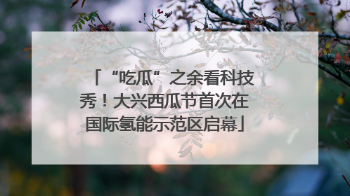 “吃瓜”之余看科技秀！大兴西瓜节首次在国际氢能示范区启幕