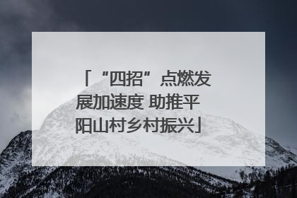“四招”点燃发展加速度 助推平阳山村乡村振兴