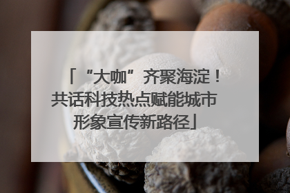 “大咖”齐聚海淀！共话科技热点赋能城市形象宣传新路径