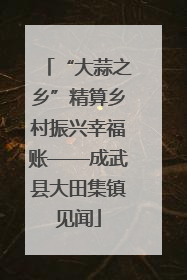 “大蒜之乡”精算乡村振兴幸福账——成武县大田集镇见闻