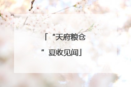 “天府粮仓”夏收见闻