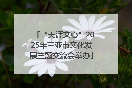 “天涯文心”2025年三亚市文化发展主题交流会举办