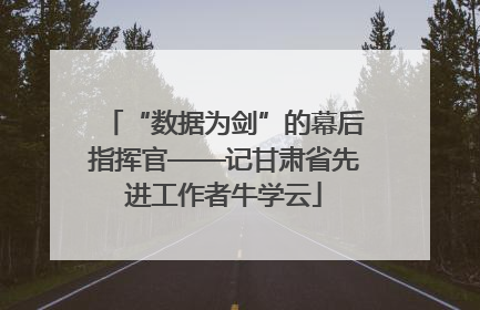“数据为剑”的幕后指挥官——记甘肃省先进工作者牛学云