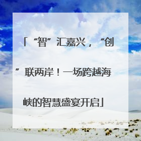 “智”汇嘉兴，“创”联两岸！一场跨越海峡的智慧盛宴开启