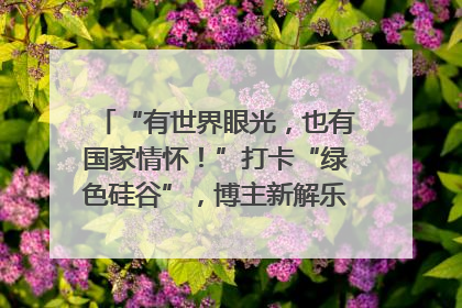 “有世界眼光，也有国家情怀！”打卡“绿色硅谷”，博主新解乐山｜网络名人四川行