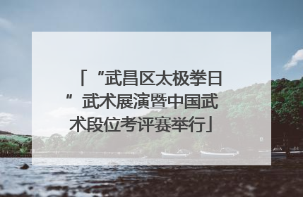 “武昌区太极拳日”武术展演暨中国武术段位考评赛举行