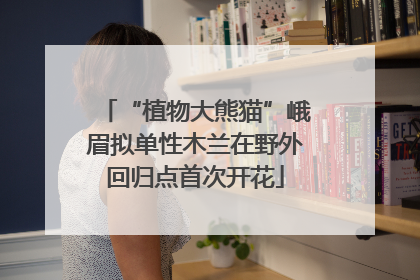 “植物大熊猫”峨眉拟单性木兰在野外回归点首次开花