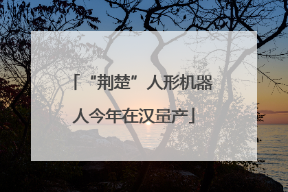 “荆楚”人形机器人今年在汉量产