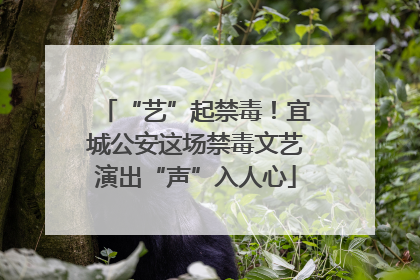 “艺”起禁毒！宜城公安这场禁毒文艺演出“声”入人心