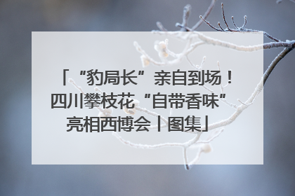 “豹局长”亲自到场！四川攀枝花“自带香味”亮相西博会丨图集