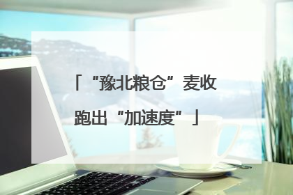 “豫北粮仓”麦收跑出“加速度”