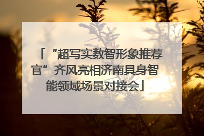 “超写实数智形象推荐官”齐风亮相济南具身智能领域场景对接会