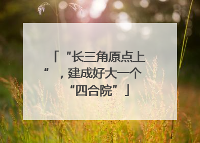 “长三角原点上”，建成好大一个“四合院”