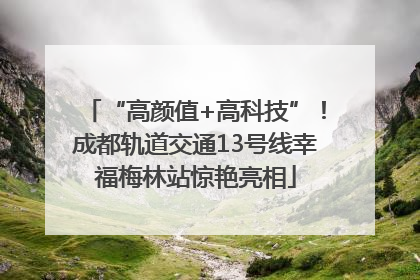 “高颜值+高科技”！成都轨道交通13号线幸福梅林站惊艳亮相