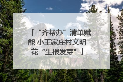 “齐帮办”清单赋能 小王家庄村文明花“生根发芽”