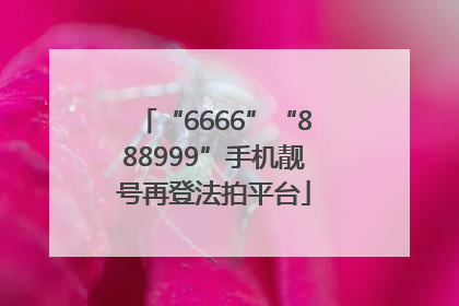 “6666”“888999”手机靓号再登法拍平台