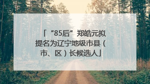 “85后”郑皓元拟提名为辽宁地级市县（市、区）长候选人