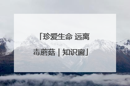 珍爱生命 远离毒蘑菇｜知识窗