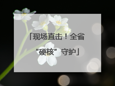 现场直击！全省“硬核”守护