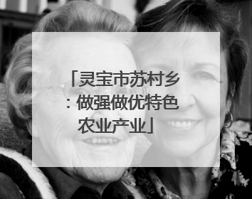 灵宝市苏村乡：做强做优特色农业产业