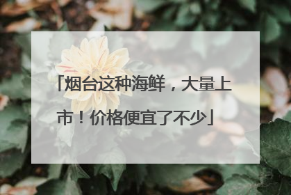 烟台这种海鲜，大量上市！价格便宜了不少
