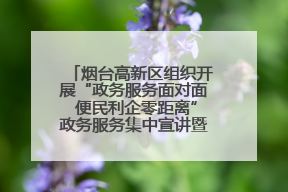 烟台高新区组织开展“政务服务面对面 便民利企零距离”政务服务集中宣讲暨政府开放月活动
