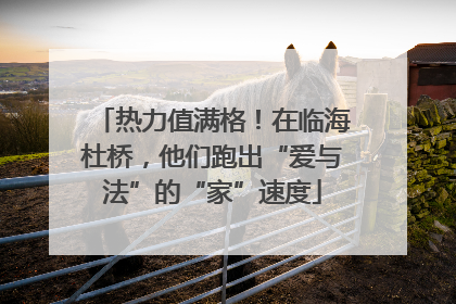 热力值满格！在临海杜桥，他们跑出“爱与法”的“家”速度