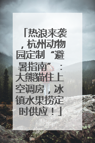 热浪来袭，杭州动物园定制“避暑指南”：大熊猫住上空调房，冰镇水果捞定时供应！