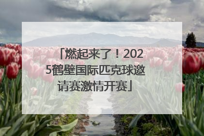 燃起来了！2025鹤壁国际匹克球邀请赛激情开赛