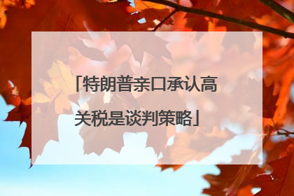 特朗普亲口承认高关税是谈判策略